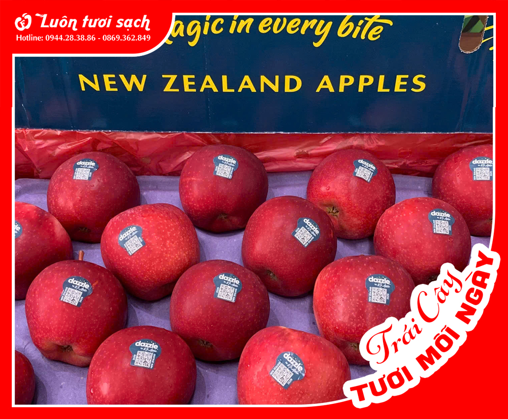 Nguyên Thùng táo Dazzle NZ sz 70